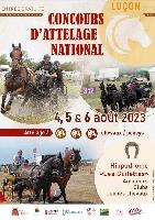 Photo n° 51554

Concours de Luçon 2023
Affichée 16 fois
Ajoutée le 17/03/2023 14:53:30 par Peps

--> Cliquer pour agrandir <--