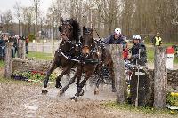 Photo n 51573&#10;Kronenberg 2023 photo PixelVisuel&#10;&#10;Affiche 6 fois&#10;Ajoute le 16/04/2023 08:05:29 par JeanClaudeGrognet&#10;&#10;--> Cliquer pour agrandir <--