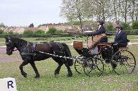 Photo n 51621&#10;ECOMMOY 2023&#10;&#10;Affiche 13 fois&#10;Ajoute le 30/04/2023 09:01:56 par JeanClaudeGrognet&#10;&#10;--> Cliquer pour agrandir <--