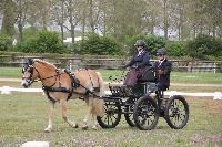 Photo n 51629&#10;ECOMMOY 2023&#10;&#10;Affiche 11 fois&#10;Ajoute le 30/04/2023 09:01:56 par JeanClaudeGrognet&#10;&#10;--> Cliquer pour agrandir <--