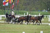 Photo n 51657&#10;CAI SELESTAT  photo PixelVisuel&#10;&#10;Affiche 6 fois&#10;Ajoute le 02/05/2023 11:32:57 par JeanClaudeGrognet&#10;&#10;--> Cliquer pour agrandir <--