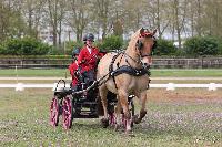Photo n 51676&#10;ECOMMOY photo JP GIRAUD photovende85&#10;Chevalier S&#10;Affiche 9 fois&#10;Ajoute le 15/05/2023 20:19:00 par JeanClaudeGrognet&#10;&#10;--> Cliquer pour agrandir <--