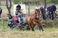 Photo n 51720&#10;ECOMMOY photo JP GIRAUD photovende85&#10;Le Moal&#10;Affiche 8 fois&#10;Ajoute le 16/05/2023 11:23:21 par JeanClaudeGrognet&#10;&#10;--> Cliquer pour agrandir <--