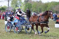 Photo n 51744&#10;ECOMMOY photo JP GIRAUD photovende85&#10;Laffitte T&#10;Affiche 10 fois&#10;Ajoute le 16/05/2023 11:23:22 par JeanClaudeGrognet&#10;&#10;--> Cliquer pour agrandir <--