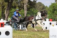 Photo n 51751&#10;ECOMMOY photo JP GIRAUD photovende85&#10; Bonnin C&#10;Affiche 8 fois&#10;Ajoute le 16/05/2023 11:23:22 par JeanClaudeGrognet&#10;&#10;--> Cliquer pour agrandir <--