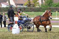 Photo n 51760&#10;ECOMMOY photo JP GIRAUD photovende85&#10;Mah G&#10;Affiche 6 fois&#10;Ajoute le 16/05/2023 11:23:23 par JeanClaudeGrognet&#10;&#10;--> Cliquer pour agrandir <--