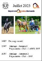Photo n 51767&#10;Dressage et Attelage&#10;&#10;Affiche 14 fois&#10;Ajoute le 16/05/2023 15:13:38 par JeanClaudeGrognet&#10;&#10;--> Cliquer pour agrandir <--