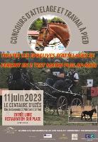 Photo n 51839&#10;Le CENTAURE d'UZES&#10;&#10;Affiche 7 fois&#10;Ajoute le 04/06/2023 19:57:11 par Invit&#10;&#10;--> Cliquer pour agrandir <--