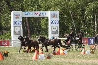 Photo n 51841&#10;SAUMUR 2023 photo PixelVisuel&#10;&#10;Affiche 14 fois&#10;Ajoute le 05/06/2023 07:02:03 par JeanClaudeGrognet&#10;&#10;--> Cliquer pour agrandir <--