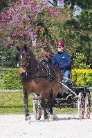Photo n 51896&#10;Dylan Bouhier&#10;&#10;Affiche 5 fois&#10;Ajoute le 19/08/2023 11:19:03 par JeanClaudeGrognet&#10;&#10;--> Cliquer pour agrandir <--