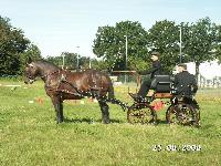 Photo n 51901&#10;Dylan Bouhier&#10;&#10;Affiche 9 fois&#10;Ajoute le 19/08/2023 11:19:03 par JeanClaudeGrognet&#10;&#10;--> Cliquer pour agrandir <--