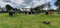 Photo n 51913&#10;Oirschot 2023 CdM poneys  photo Yves Lancien&#10;&#10;Affiche 5 fois&#10;Ajoute le 31/08/2023 11:50:53 par JeanClaudeGrognet&#10;&#10;--> Cliquer pour agrandir <--