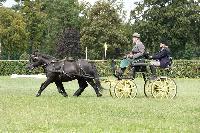 Photo n 51924&#10;COMPIEGNE 2023 photo PIXELVISUEL&#10;&#10;Affiche 10 fois&#10;Ajoute le 01/09/2023 11:04:55 par JeanClaudeGrognet&#10;&#10;--> Cliquer pour agrandir <--