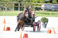 Photo n 51925&#10;COMPIEGNE 2023 photo PIXELVISUEL&#10;&#10;Affiche 13 fois&#10;Ajoute le 01/09/2023 11:04:55 par JeanClaudeGrognet&#10;&#10;--> Cliquer pour agrandir <--