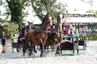 Photo n 51931&#10;COMPIEGNE 2023 photo PIXELVISUEL&#10;&#10;Affiche 14 fois&#10;Ajoute le 01/09/2023 11:04:55 par JeanClaudeGrognet&#10;&#10;--> Cliquer pour agrandir <--