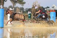 Photo n 51998&#10;Photo JP GIRAUD  photovende85&#10;Gache Marjorie&#10;Affiche 13 fois&#10;Ajoute le 20/09/2023 08:30:04 par JeanClaudeGrognet&#10;&#10;--> Cliquer pour agrandir <--