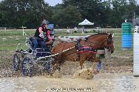 Photo n 52000&#10;Photo JP GIRAUD  photovende85&#10;Giacomelli Sarah&#10;Affiche 16 fois&#10;Ajoute le 20/09/2023 08:30:04 par JeanClaudeGrognet&#10;&#10;--> Cliquer pour agrandir <--