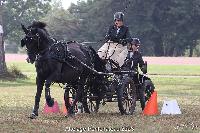 Photo n 52001&#10;Photo JP GIRAUD  photovende85&#10;Gibon Brigitte&#10;Affiche 18 fois&#10;Ajoute le 20/09/2023 08:30:04 par JeanClaudeGrognet&#10;&#10;--> Cliquer pour agrandir <--