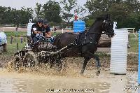 Photo n 52002&#10;Photo JP GIRAUD  photovende85&#10;Gibon Brigitte&#10;Affiche 13 fois&#10;Ajoute le 20/09/2023 08:30:04 par JeanClaudeGrognet&#10;&#10;--> Cliquer pour agrandir <--