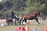 Photo n 52003&#10;Photo JP GIRAUD  photovende85&#10;Gibon Yves&#10;Affiche 16 fois&#10;Ajoute le 20/09/2023 08:30:04 par JeanClaudeGrognet&#10;&#10;--> Cliquer pour agrandir <--