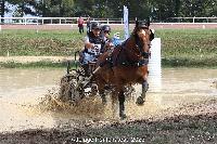 Photo n 52004&#10;Photo JP GIRAUD  photovende85&#10;Gibon Yves&#10;Affiche 19 fois&#10;Ajoute le 20/09/2023 08:30:04 par JeanClaudeGrognet&#10;&#10;--> Cliquer pour agrandir <--
