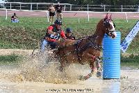 Photo n 52013&#10;Photo JP GIRAUD  photovende85&#10;Guespin Fabrice&#10;Affiche 9 fois&#10;Ajoute le 20/09/2023 08:30:04 par JeanClaudeGrognet&#10;&#10;--> Cliquer pour agrandir <--