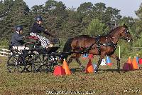 Photo n 52014&#10;Photo JP GIRAUD  photovende85&#10;Hawes Suzan&#10;Affiche 10 fois&#10;Ajoute le 20/09/2023 08:30:05 par JeanClaudeGrognet&#10;&#10;--> Cliquer pour agrandir <--