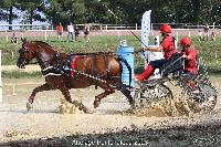 Photo n 52016&#10;Photo JP GIRAUD  photovende85&#10;Jacquinot Claire&#10;Affiche 14 fois&#10;Ajoute le 20/09/2023 08:30:05 par JeanClaudeGrognet&#10;&#10;--> Cliquer pour agrandir <--