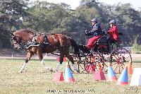 Photo n 52019&#10;Photo JP GIRAUD  photovende85&#10;Laffitte Thierry&#10;Affiche 16 fois&#10;Ajoute le 20/09/2023 08:30:05 par JeanClaudeGrognet&#10;&#10;--> Cliquer pour agrandir <--