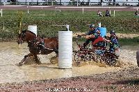 Photo n 52022&#10;Photo JP GIRAUD  photovende85&#10;Laville Eric&#10;Affiche 11 fois&#10;Ajoute le 20/09/2023 08:30:05 par JeanClaudeGrognet&#10;&#10;--> Cliquer pour agrandir <--