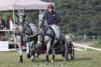Photo n 52023&#10;Photo JP GIRAUD  photovende85&#10;Lenormand Eric&#10;Affiche 10 fois&#10;Ajoute le 20/09/2023 08:30:05 par JeanClaudeGrognet&#10;&#10;--> Cliquer pour agrandir <--