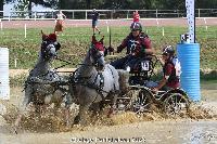 Photo n 52024&#10;Photo JP GIRAUD  photovende85&#10;Lenormand Eric&#10;Affiche 13 fois&#10;Ajoute le 20/09/2023 08:30:05 par JeanClaudeGrognet&#10;&#10;--> Cliquer pour agrandir <--