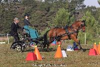 Photo n 52025&#10;Photo JP GIRAUD  photovende85&#10;Levavasseur Axelle&#10;Affiche 11 fois&#10;Ajoute le 20/09/2023 08:30:05 par JeanClaudeGrognet&#10;&#10;--> Cliquer pour agrandir <--