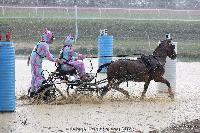 Photo n 52026&#10;Photo JP GIRAUD  photovende85&#10;Levavasseur Axelle&#10;Affiche 14 fois&#10;Ajoute le 20/09/2023 08:30:05 par JeanClaudeGrognet&#10;&#10;--> Cliquer pour agrandir <--
