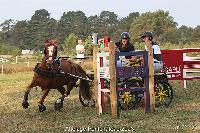 Photo n 52028&#10;Photo JP GIRAUD  photovende85&#10;Maricourt Laetitia&#10;Affiche 10 fois&#10;Ajoute le 20/09/2023 08:30:05 par JeanClaudeGrognet&#10;&#10;--> Cliquer pour agrandir <--