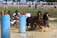 Photo n 52030&#10;Photo JP GIRAUD  photovende85&#10;Maricourt Maxime&#10;Affiche 8 fois&#10;Ajoute le 20/09/2023 08:30:05 par JeanClaudeGrognet&#10;&#10;--> Cliquer pour agrandir <--