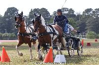 Photo n 52031&#10;Photo JP GIRAUD  photovende85&#10;Marlin Mireille&#10;Affiche 13 fois&#10;Ajoute le 20/09/2023 08:30:05 par JeanClaudeGrognet&#10;&#10;--> Cliquer pour agrandir <--