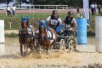 Photo n 52032&#10;Photo JP GIRAUD  photovende85&#10;Marlin Mireille&#10;Affiche 14 fois&#10;Ajoute le 20/09/2023 08:30:05 par JeanClaudeGrognet&#10;&#10;--> Cliquer pour agrandir <--