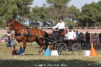 Photo n 52033&#10;Photo JP GIRAUD  photovende85&#10;Martin Anthony&#10;Affiche 11 fois&#10;Ajoute le 20/09/2023 08:30:05 par JeanClaudeGrognet&#10;&#10;--> Cliquer pour agrandir <--