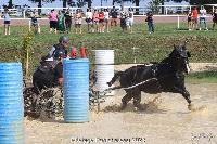 Photo n 52037&#10;Photo JP GIRAUD  photovende85&#10;Menez Jordan&#10;Affiche 15 fois&#10;Ajoute le 20/09/2023 08:30:05 par JeanClaudeGrognet&#10;&#10;--> Cliquer pour agrandir <--