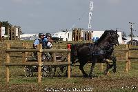 Photo n 52039&#10;Photo JP GIRAUD  photovende85&#10;Moussu Gilles&#10;Affiche 12 fois&#10;Ajoute le 20/09/2023 08:30:05 par JeanClaudeGrognet&#10;&#10;--> Cliquer pour agrandir <--