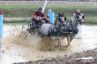 Photo n 52042&#10;Photo JP GIRAUD  photovende85&#10;Piau Sylvain&#10;Affiche 10 fois&#10;Ajoute le 20/09/2023 08:30:05 par JeanClaudeGrognet&#10;&#10;--> Cliquer pour agrandir <--