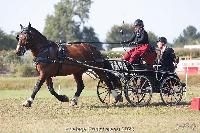 Photo n 52043&#10;Photo JP GIRAUD  photovende85&#10;Porcher Camille&#10;Affiche 18 fois&#10;Ajoute le 20/09/2023 08:30:05 par JeanClaudeGrognet&#10;&#10;--> Cliquer pour agrandir <--