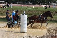 Photo n 52044&#10;Photo JP GIRAUD  photovende85&#10;Porcher Camille&#10;Affiche 13 fois&#10;Ajoute le 20/09/2023 08:30:05 par JeanClaudeGrognet&#10;&#10;--> Cliquer pour agrandir <--