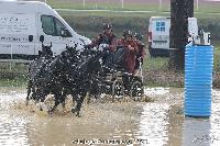 Photo n 52046&#10;Photo JP GIRAUD  photovende85&#10;Sagot Duvauroux Olivier&#10;Affiche 12 fois&#10;Ajoute le 20/09/2023 08:30:05 par JeanClaudeGrognet&#10;&#10;--> Cliquer pour agrandir <--