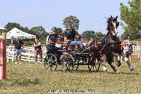 Photo n 52048&#10;Photo JP GIRAUD  photovende85&#10;Srazin Anna&#10;Affiche 12 fois&#10;Ajoute le 20/09/2023 08:30:05 par JeanClaudeGrognet&#10;&#10;--> Cliquer pour agrandir <--