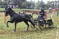 Photo n 52050&#10;Photo JP GIRAUD  photovende85&#10;Srazin Anna&#10;Affiche 15 fois&#10;Ajoute le 20/09/2023 08:30:05 par JeanClaudeGrognet&#10;&#10;--> Cliquer pour agrandir <--