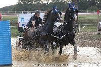 Photo n 52052&#10;Photo JP GIRAUD  photovende85&#10;Srazin Vincent&#10;Affiche 11 fois&#10;Ajoute le 20/09/2023 08:30:05 par JeanClaudeGrognet&#10;&#10;--> Cliquer pour agrandir <--