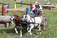 Photo n 52054&#10;Photo JP GIRAUD  photovende85&#10;Thibaud Michael&#10;Affiche 17 fois&#10;Ajoute le 20/09/2023 08:30:06 par JeanClaudeGrognet&#10;&#10;--> Cliquer pour agrandir <--