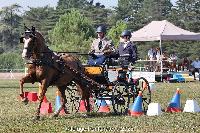 Photo n 52055&#10;Photo JP GIRAUD  photovende85&#10;Toublanc William&#10;Affiche 20 fois&#10;Ajoute le 20/09/2023 08:30:06 par JeanClaudeGrognet&#10;&#10;--> Cliquer pour agrandir <--